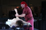 паказальнае выступленне масажыста Ігара Кісурына. KOSMETIK EXPO 2013