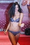 Dimanche lingerie show — Lingerie-Expo 2013 (looks: grey bra, grey briefs)