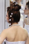 Peinados de novia — Roza vetrov - HAIR 2013. Parte 1