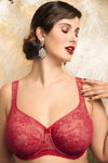 Rosa Faia 2020 lingerie campaign (looks: red guipure bra)