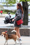 Minsk street fashion. 04/2020 (looks: grey coat, red bag, nude stockings with lace top, white socks)